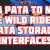 From PATA to NVMe: The Wild Ride of Data Storage Interfaces 🚀💾